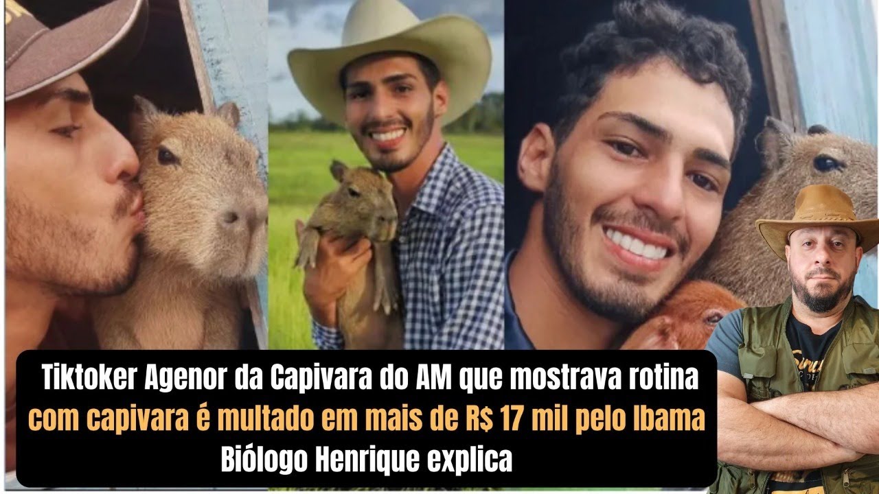 Tiktoker Do Am Que Mostrava Rotina Capivara Multado Em Mais De R