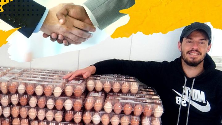 vendida - Produção vendida com sucesso ✓ 700 dúzias entregue.🥚🥚🥚