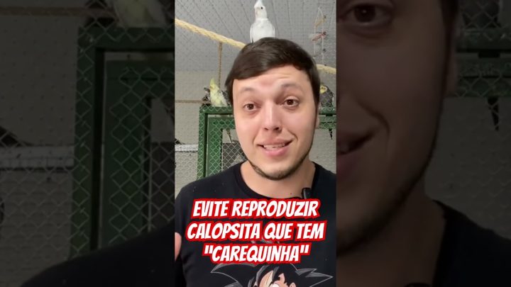 reproduza - Não reproduza a Carequinha do Ino.