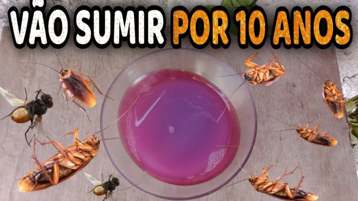 sumirem - Isso faz Moscas e Baratas Sumirem para sempre