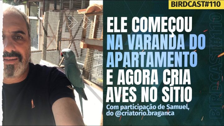 ele!!!! - ELE COMEÇOU CRIANDO AVES NA VARANDA DO APARTAMENTO #110