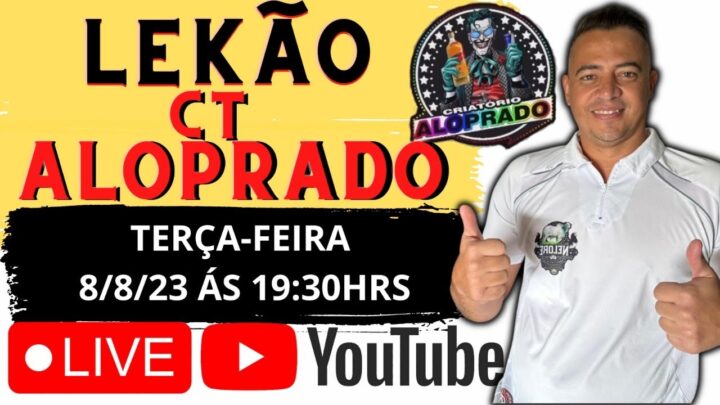 aloprado! - LEKÃO CT ALOPRADO TORNEIO E REPRODUÇÃO COLEIRO PAPACAPIM