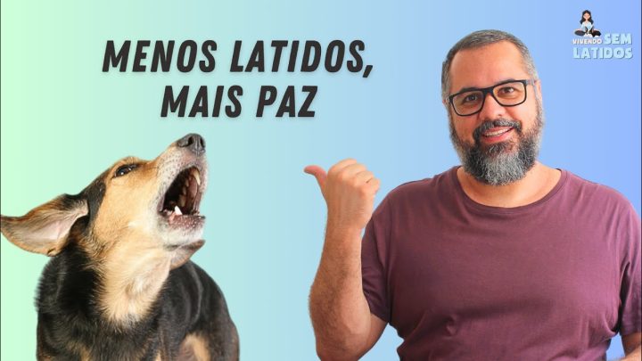 gratuita - AULA GRATUITA: MENOS LATIDOS, MAIS PAZ