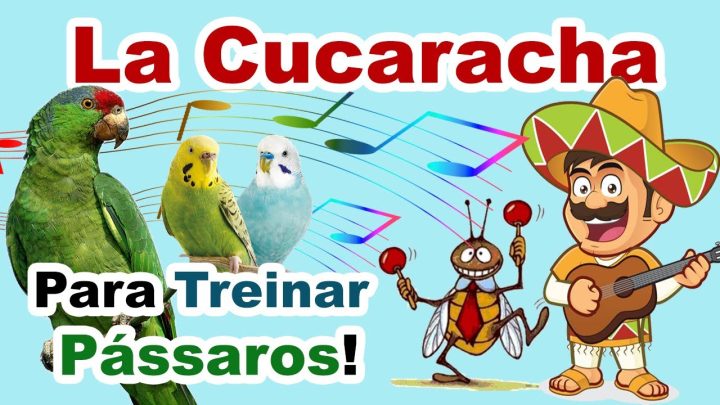 cucaracha - assobio la cucaracha para papagaio - canto para treinar papagaio