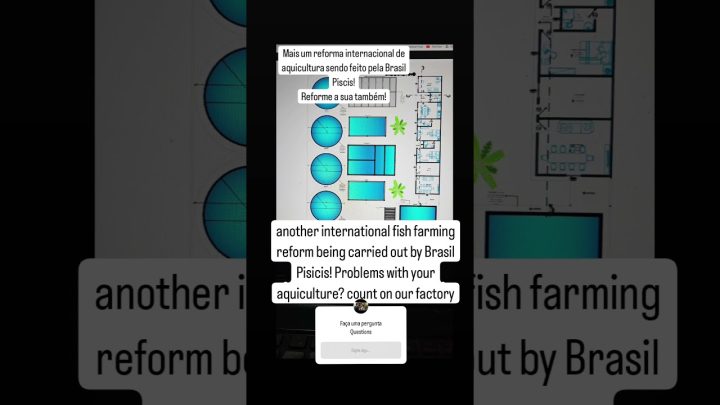 tilápias - Reforma internacional de projetos para aquicultura em péssimo funcionamento só na Brasil Piscis!