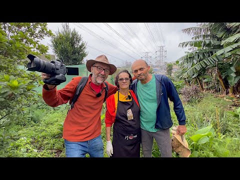 teresinha - A HORTA ORGÂNICA DE JOSENILDO E TERESINHA - SÃO PAULO CAPITAL