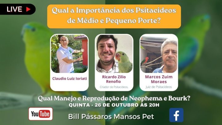 pequno - MANEJO E REPRODUÇÃO DE PSITACÍDEOS DE MÉDIO E PEQUNO PORTER!!!