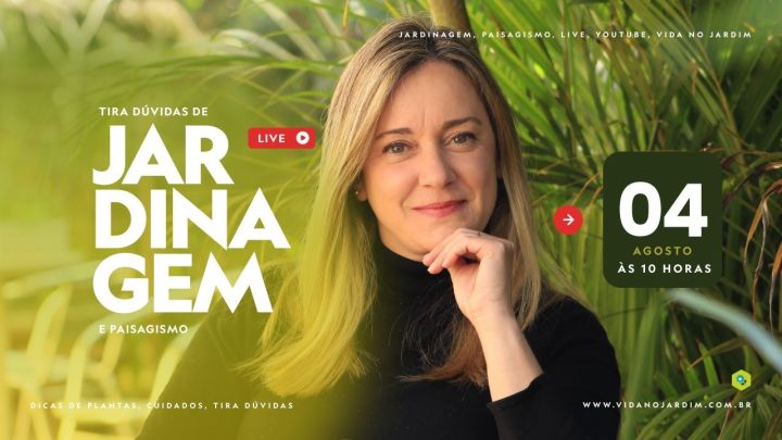 Dicas de Jardinagem - Live Jardinagem - 04.08.2024 às 10:00 Horas - Lucia Borges