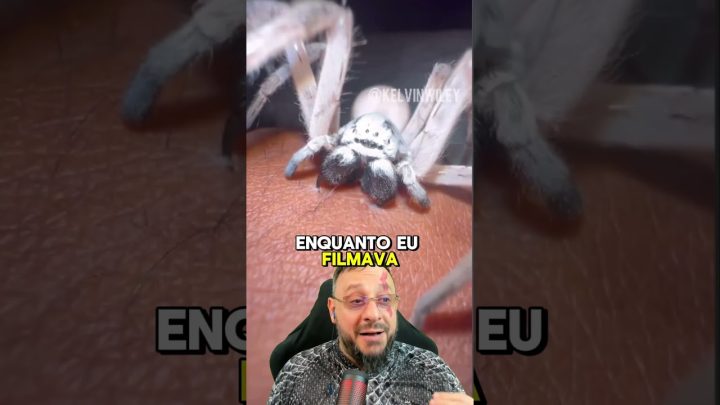 sobre! - Aranha gigante se segurando na pele, desbloqueando novos medos