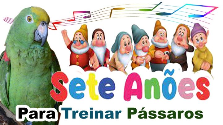 anÕes - assobio branca de neve e os sete anões para periquito - canto para treinar periquito