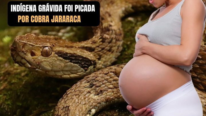 yanomami - Indígena carrega por 2h irmã grávida picada por Cobra jararaca até socorro na Terra Yanomami