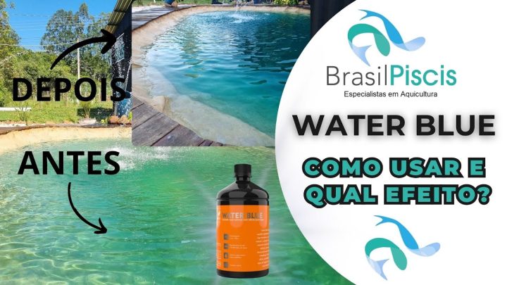 Psicultura e Criação de tilápias - Como deixar a água do seu lago azul - Water Blue - video 51