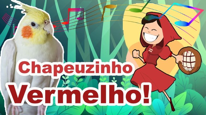 chapeuzinho - Assobio chapeuzinho vermelho para calopsita - canto para treinar calopsita