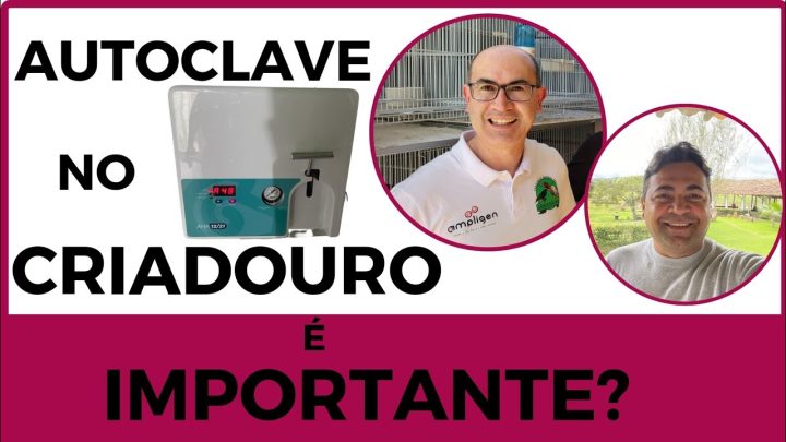 criadouro - AUTOCLAVE NO CRIADOURO É IMPORTANTE?