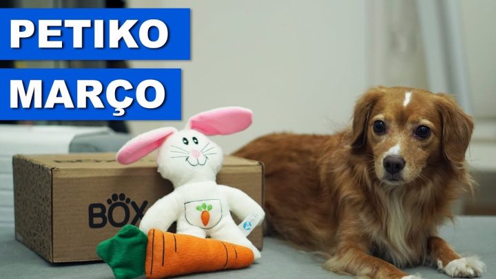 cães - BOX PETIKO DE PÁSCOA - QUATRO PATAS