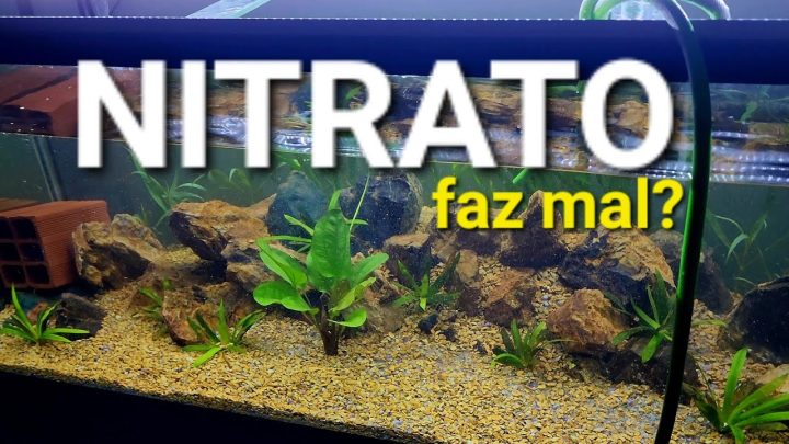 #nitrato, - Z0nas M0rtas e os RISCOS do excesso de Nitrato AQUÁRIO - Algas e d0enças nos peixes