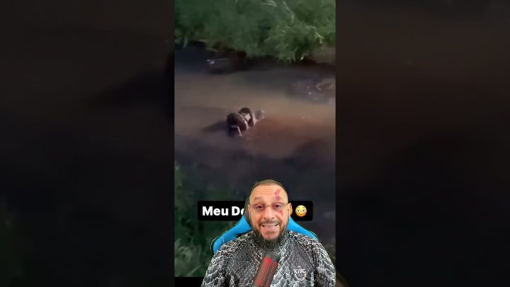 rolando - Sucuri pegou cachorro e saiu rolando pelo rio