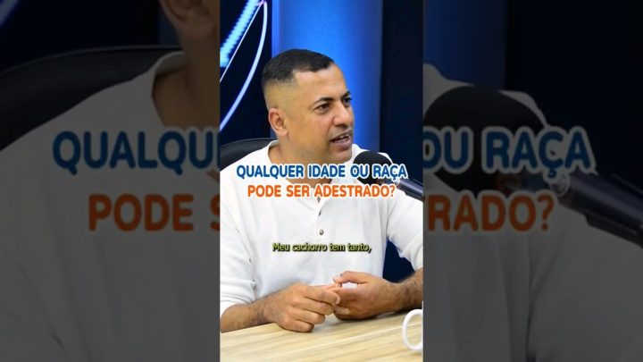 adestrada - Qual raça de cão e idade pode ser adestrada? #podcast #adestramento #filhotes #cachorro #podcasts