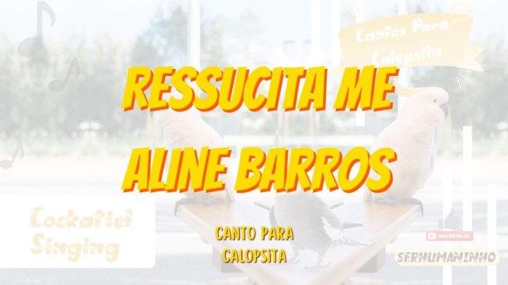 ressucita - Canto de Calopsita Ressucita me Aline Barros