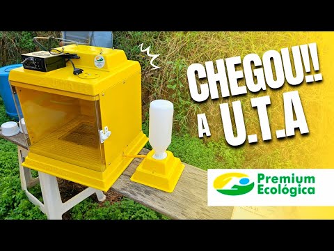 criadouro - CHEGOU MAIS UMA NOVIDADE PARA O CRIADOURO | UTA DA PREMIUM ECOLÓGICA