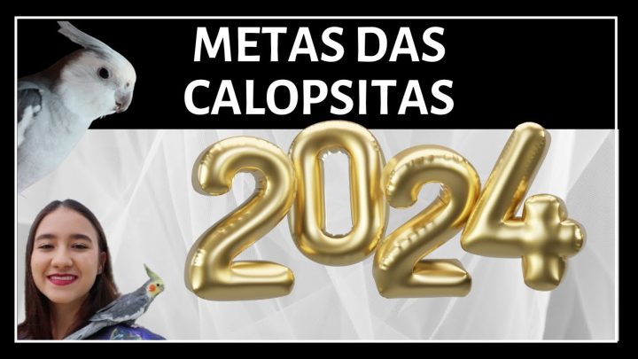 canalpara - RETORSPECTIVA 2023 E METAS DO CANALPARA 2024