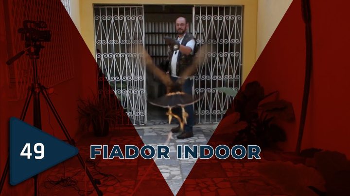 fiador - Fiador indoor.