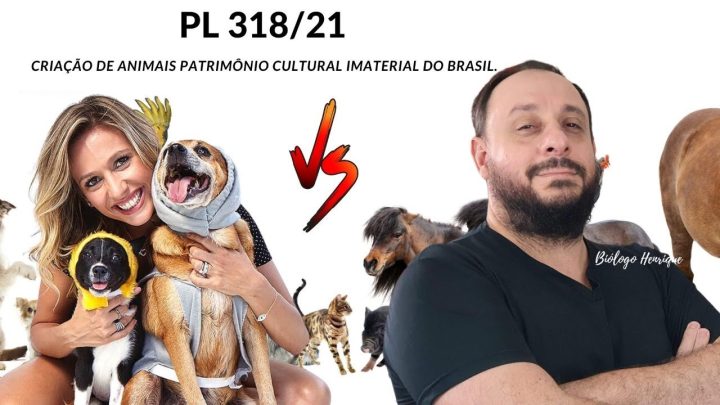 cultural - PL da criação de animais Patrimônio Cultural Imaterial do Brasil.