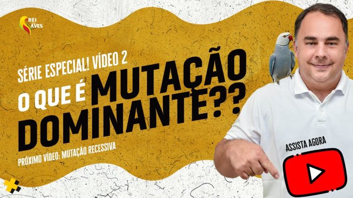 explicada: - Genética de aves explicada: mutação dominante