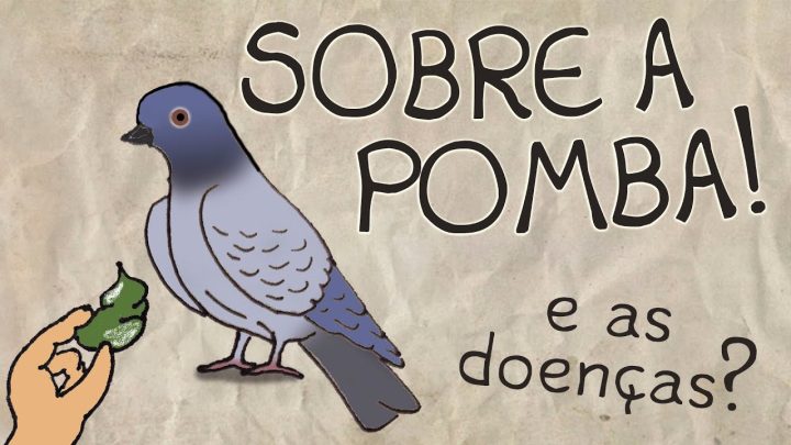 pomba! - Sobre a Pomba! - Parte 02