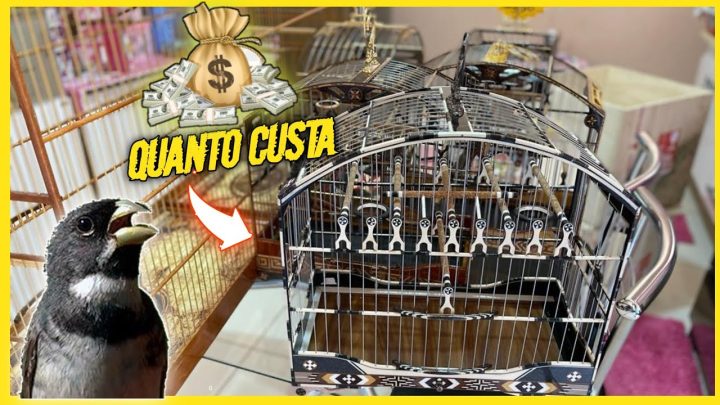 precinho - CARRO DAS GAIOLAS NO PRECINHO 💰 | gaiola pra coleiro E papa capim 🐦