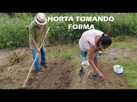 tarefas - Vlog 176 - Muitos tarefas + Correndo pra Plantar na Horta