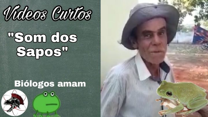 sapos! - Som dos sapos, os Biólogos piram | #Shorts | Biólogo Henrique