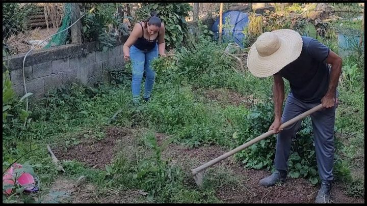 Vida na Roça - Hum... tava bom demais para ser Verdade 😂 #rural #sustentabilidade @TILAPIAMinhaVida