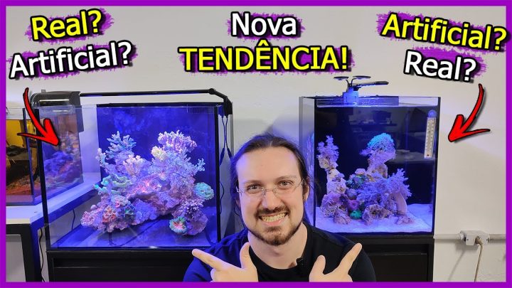 idÊnticos - Encontrei Corais Artificiais IDÊNTICOS a REAIS! Nova tendência?