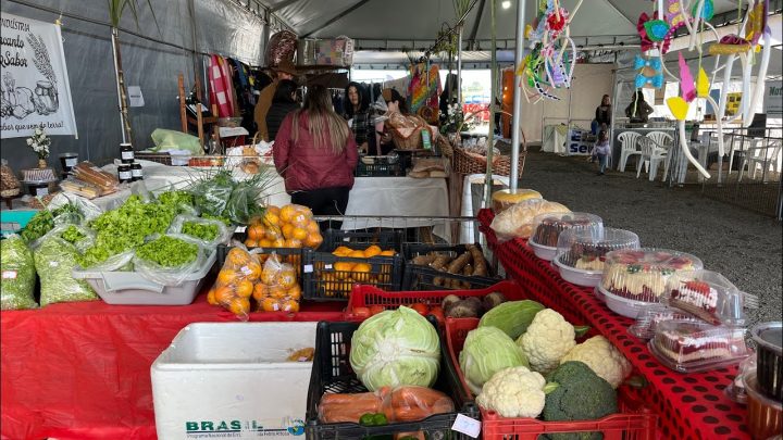 agropecuária - EXPO PINHAL UMA FEIRA AGROPECUÁRIA - FEIRA PARA VALORIZAR O POVO DA ROÇA