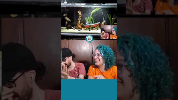 #reaction - Aquário com Carpas, Pacu e tudo que couber! #reaction