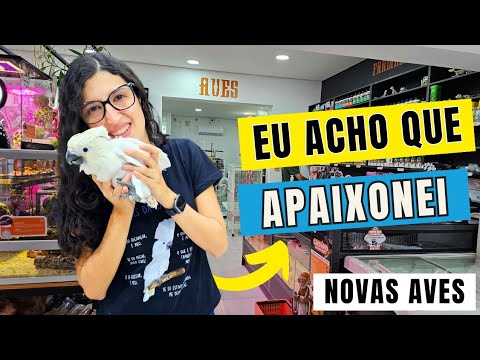 udp - VISITEI UMA LOJA COM MUITAS AVES MANSAS E FUI BUSCAR NOVAS AVES - UDP