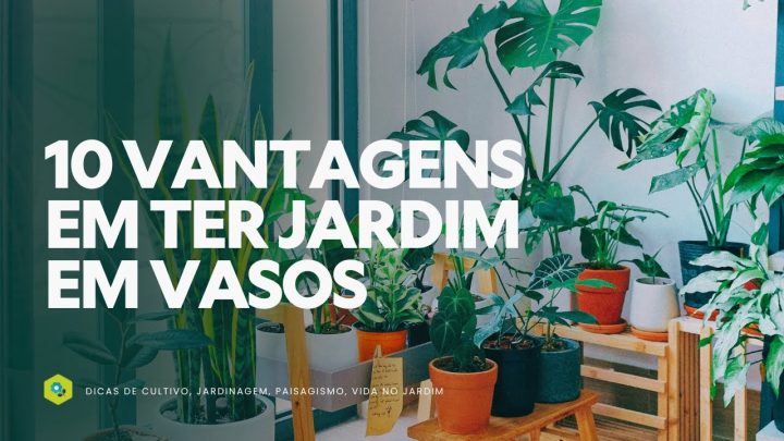 Dicas de Jardinagem - 10 VANTAGENS em ter um JARDIM EM VASOS