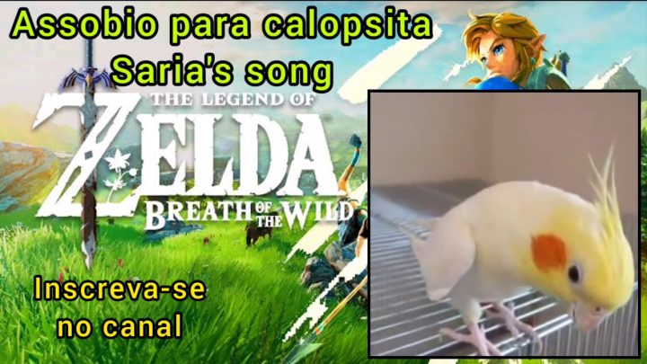 westle - ASSOBIO CALOPSITA - SARIA'S SONGS - LOST WOODS - THE LEGEND OF ZELDA - COCKATIEL WESTLE