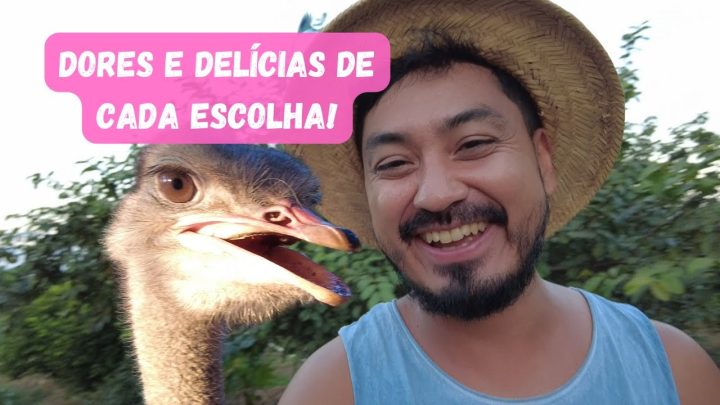 animais - Vlog 213 - Escolhas, Animais Perigosos e Vida na Roça | Okiama No Sítio