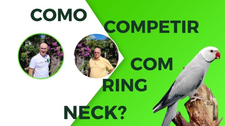 campeonato!!!cortes - COMO FAZER PARA TER RING NECK PARA CAMPEONATO!!!Cortes da Live.