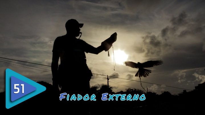 fiador - Falcoaria: Fiador Externo.