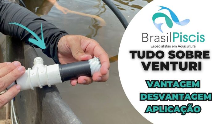 venture - Tudo sobre o sistema Venture - Vantagem e desvantagem - Video 37