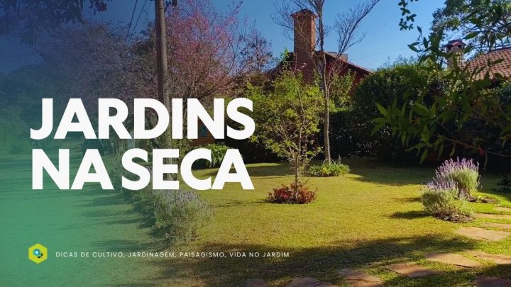 Dicas de Jardinagem - JARDINS NA SECA - O ESTADO das PLANTAS na MINHA REGIÃO