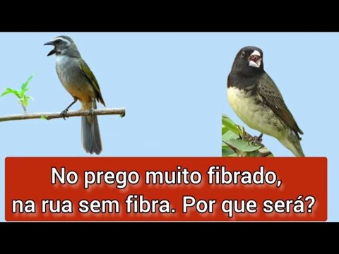 importante‼️ - ⚠️ VOCÊ PRECISA SABER. É MUITO IMPORTANTE‼️