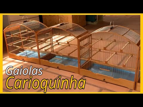 carioquinha - GAIOLA CARIOQUINHA PARA COLEIRO PAPA-CAPIM