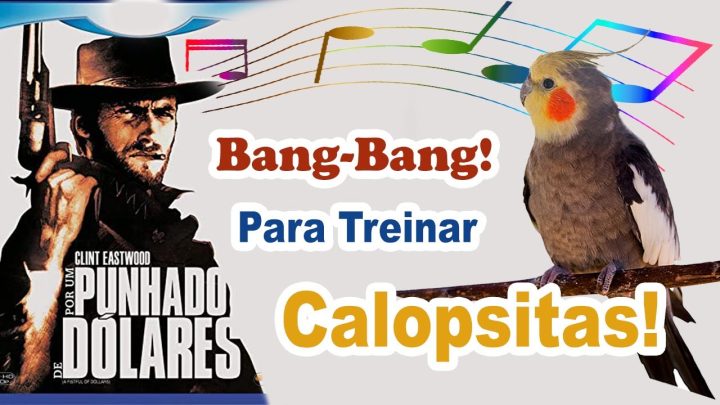 punhado - Assobio Bang Bang - Por um punhado de dólares para calopsita - canto para treinar calopsita