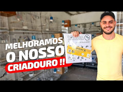 criadouro - ESTAMOS MELHORANDO O NOSSO CRIADOURO | PETSTOP