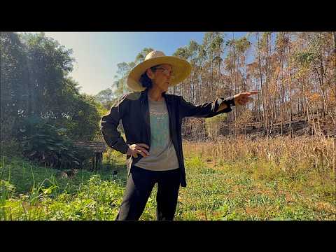 nazarÉ - O TALENTO QUE DEUS NOS DEU DEVEMOS COMPARTILHAR - DONA ANGELINA - NAZARÉ PAULISTA