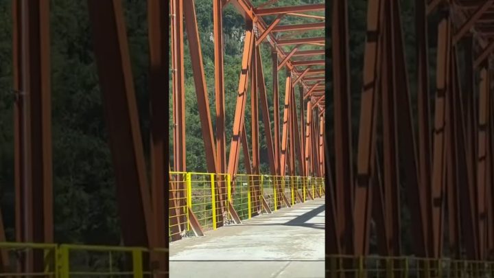 nature - OLHA QUE PONTE DE FERRO EM NOVA ROMA DO SUL #roça #mato #travel #campo #nature #agro #vaca